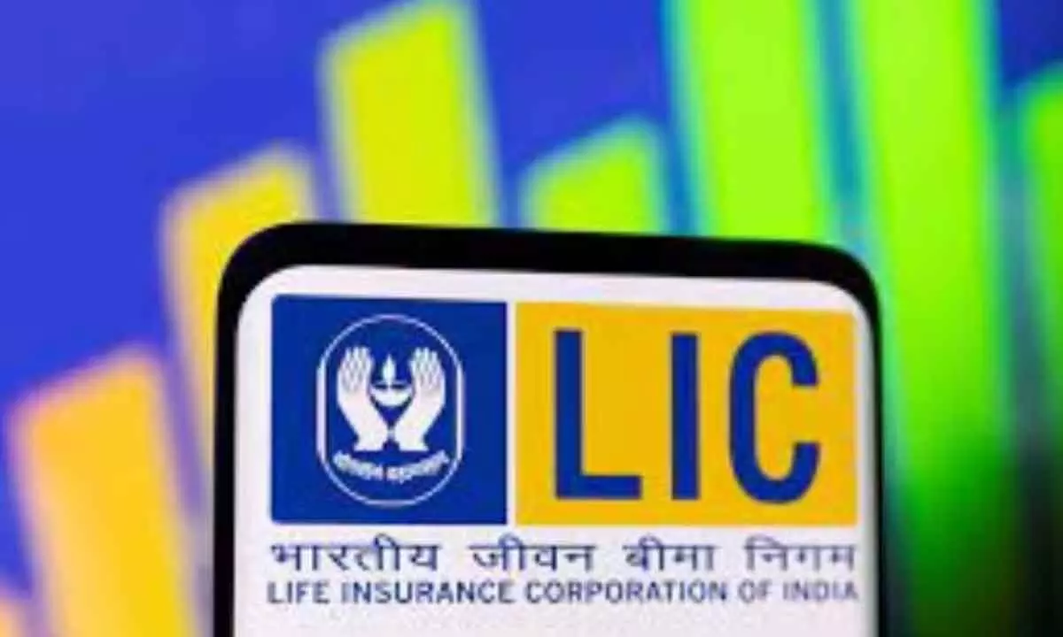 LIC launches Dhan Vriddhi policy