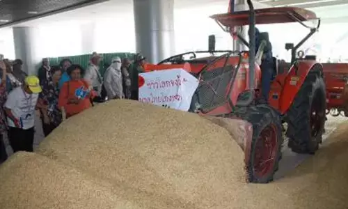 BJP sabotaging Karnatakas Anna Bhagya scheme: Jairam Ramesh