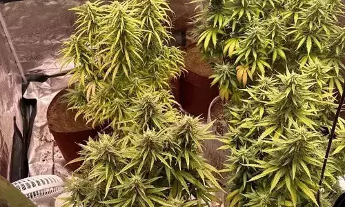 Representational image