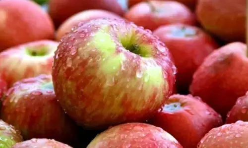 Retaliatory duty removal on US apples imports not to affect domestic growers, says government