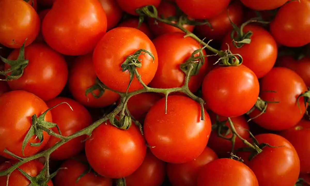 Congress Blame BJP For Sudden Surge In Prices OF Tomato And Other Items