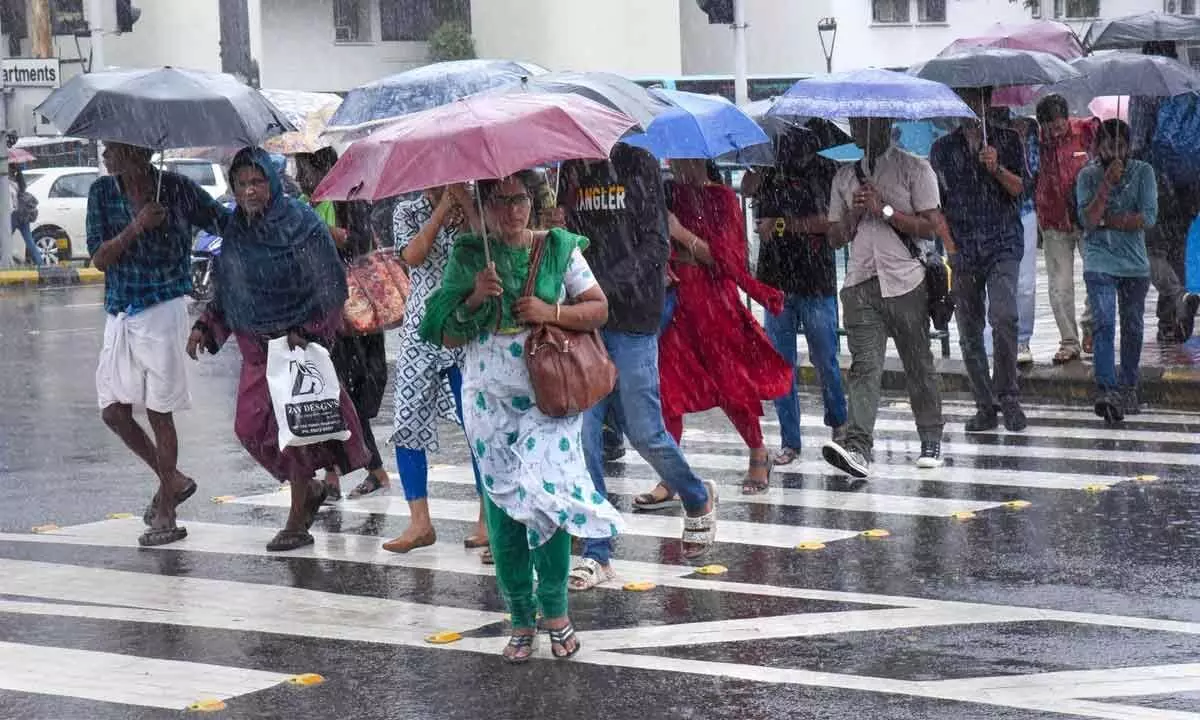 Kerala records 65% deficit rainfall so far: IMD