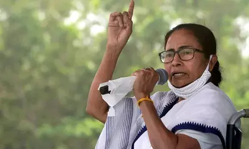 Panchayat polls: Mamata govt challenges Calcutta HC’s order for FIR against cops