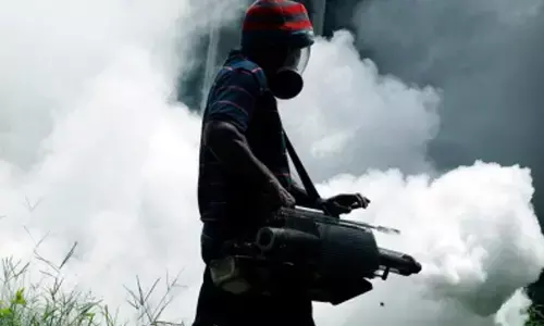 Dengue cases continue to surge in Laos