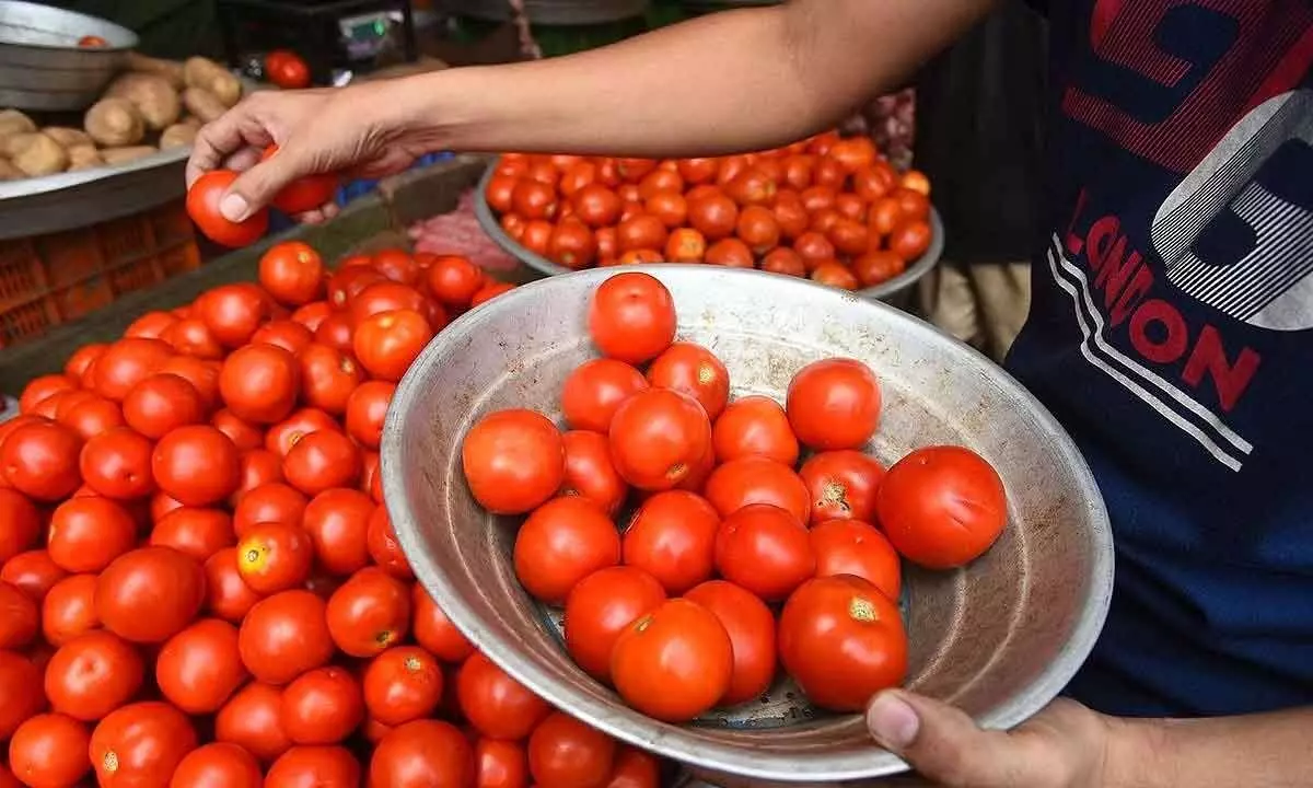 TN government outlets sell tomatoes at Rs 60/kg