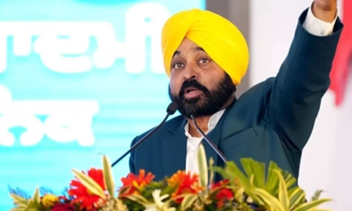 Punjab starts process of confiscating assets in multi-crore ponzi scam: CM Mann