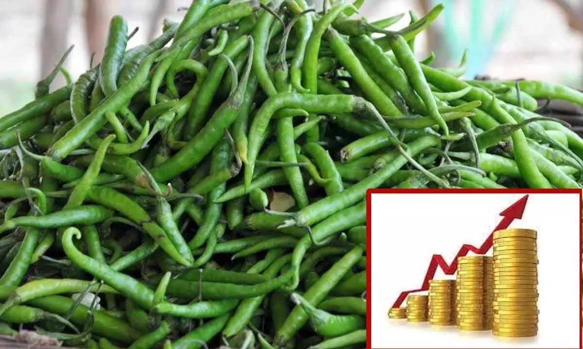 Home kitchens turn too hot as green chilli prices surge