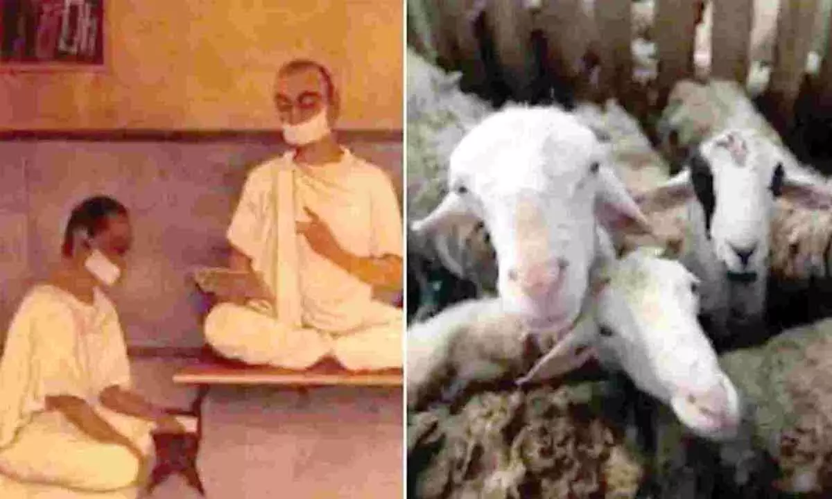 Jains observe ‘Ayambil’ to atone for animal slaughter on Bakrid
