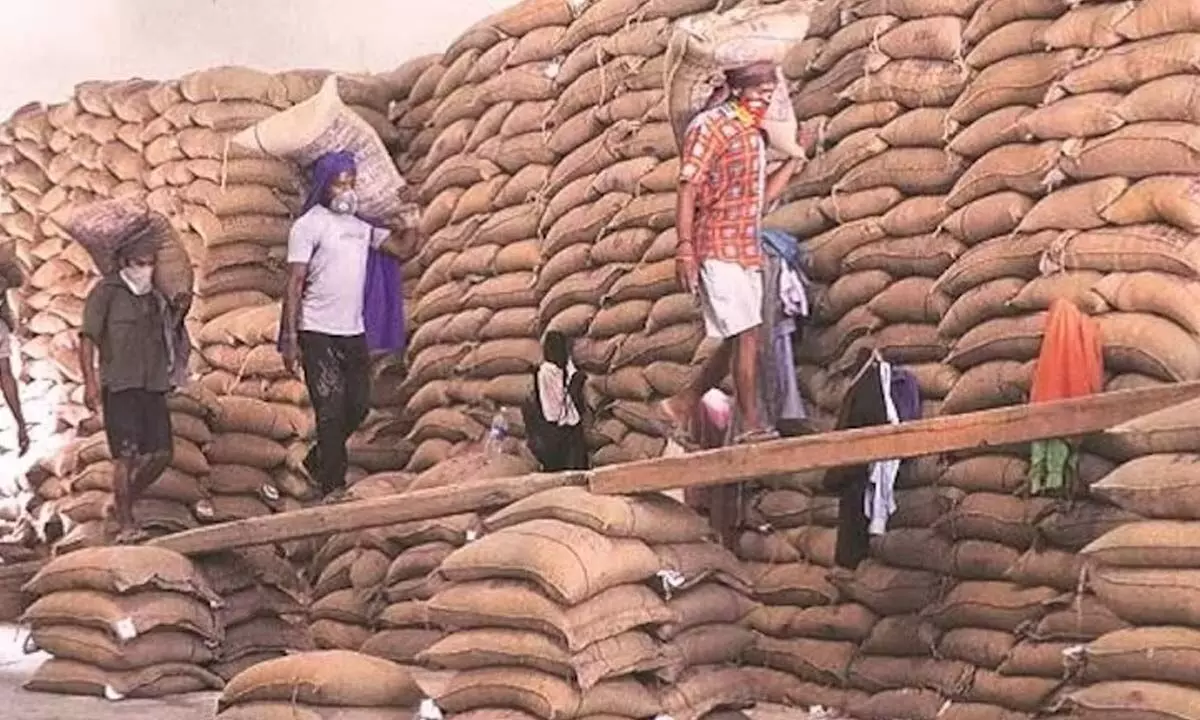 Study says Tons of Anna Bhagya rice wasted due to improper storage facility