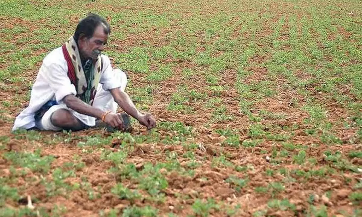 Farmers up in arms against govt over relief to selective crops