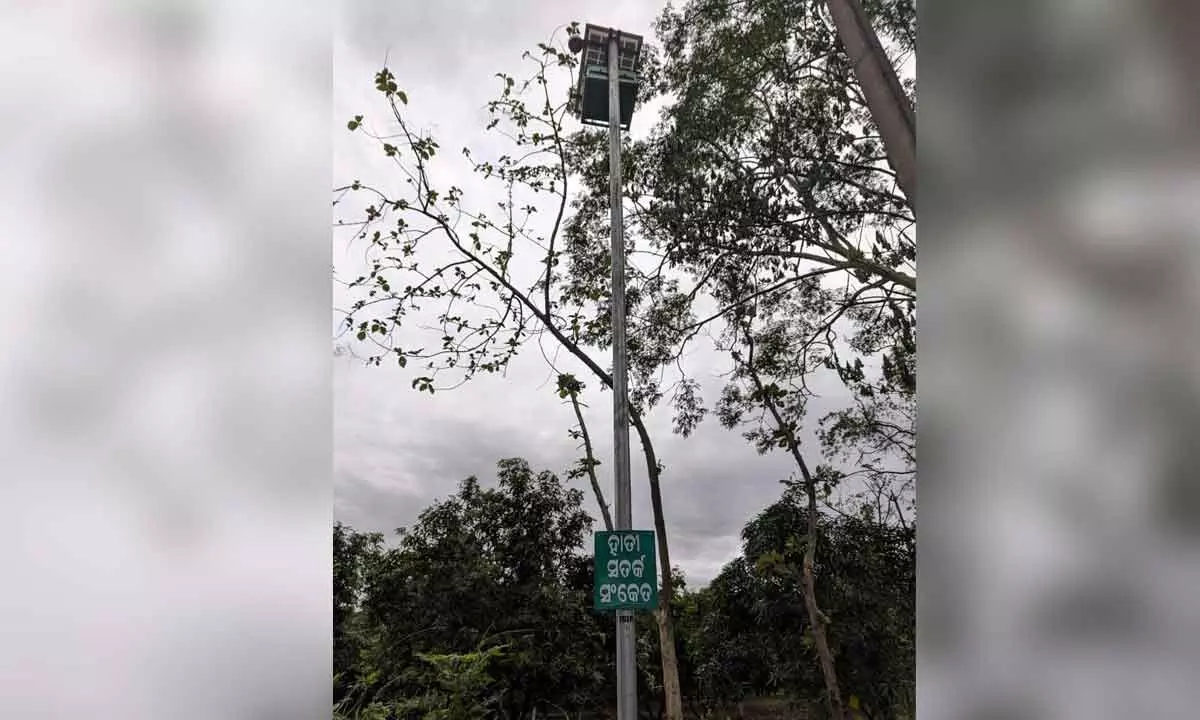 Early warning system set up to track elephants in Dhenkanal