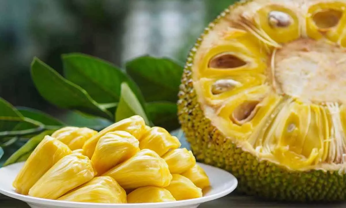 Jackfruit Day