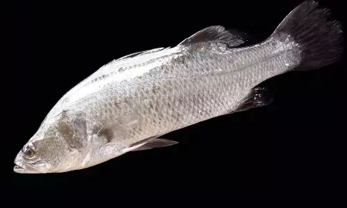 Representational image