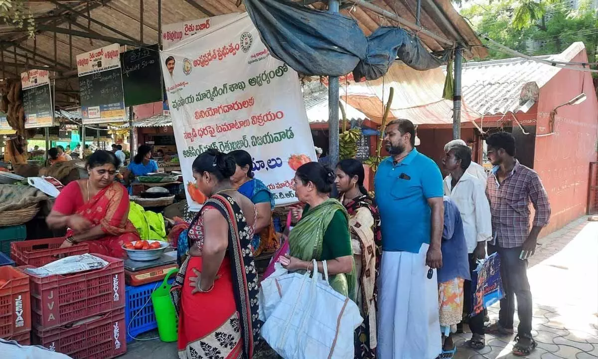 Consumers purchasing tomatoes at Rs 50 per kg at agriculture marketing stall in Ajit Singh Nagar in Vijayawada on Monday