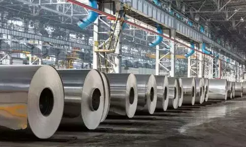 Tata Steels NINL plant reaches 100 pc capacity utilisation within 1 year of acquisition