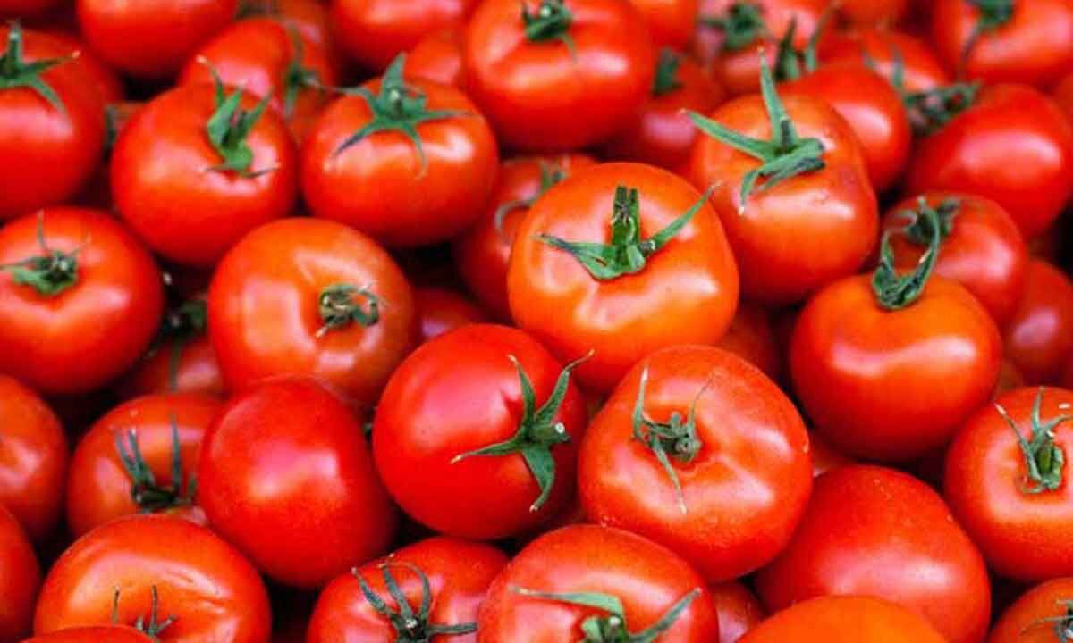 Tomato prices shoot up to Rs 140 per kg