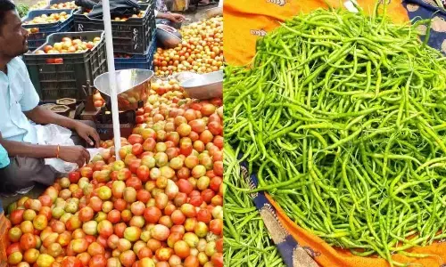 Tomato and Green chillies