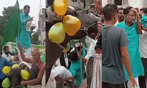 RJD leader falls off buffalo while celebrating party formation day in Bihar