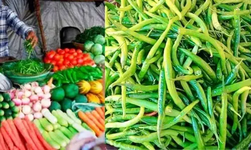 Prices increased of chili, ginger, coriander following Tomato