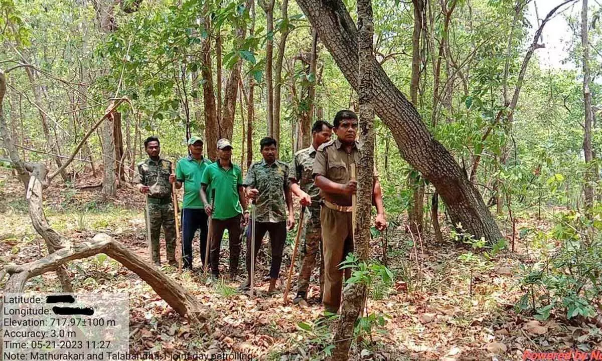 Odisha govt gives protection to forest officials for firearm use