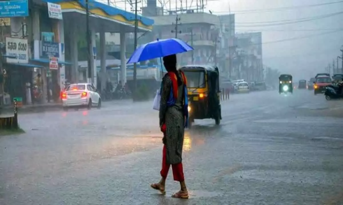 Gujarat records over a third of average monsoon rain; Kutch leads with 87.44%