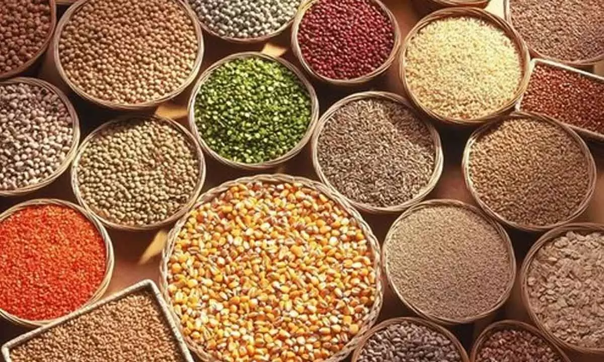 Reintegration of millets in global foodscape