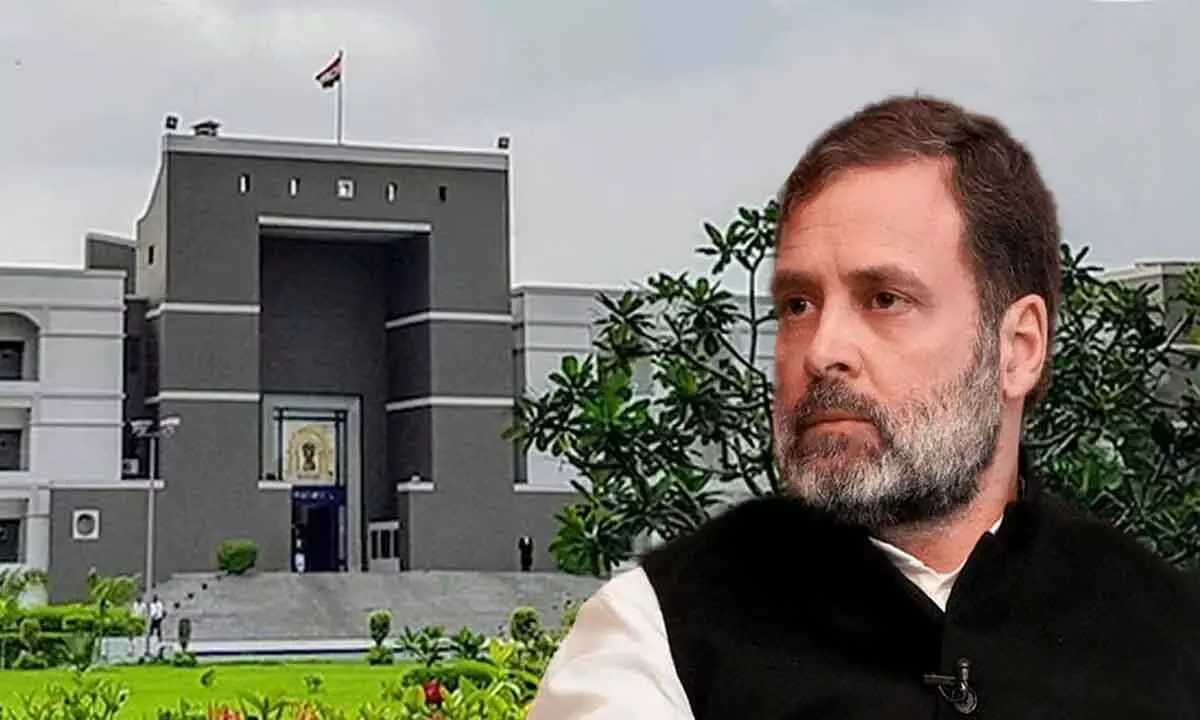 Gujarat High Court Rejects Rahul Gandhis Plea, Leading To Loss Of Parliamentary Membership