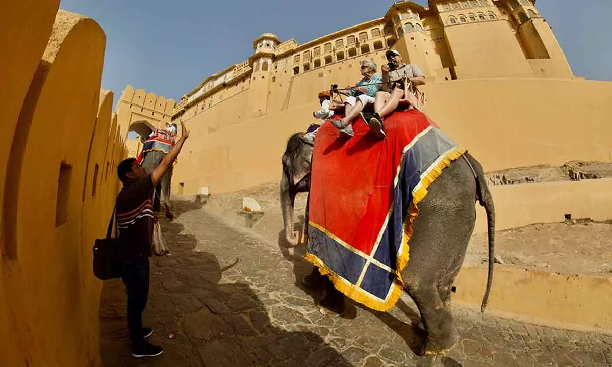 Elephant rides at Amer Fort Rajasthan halted