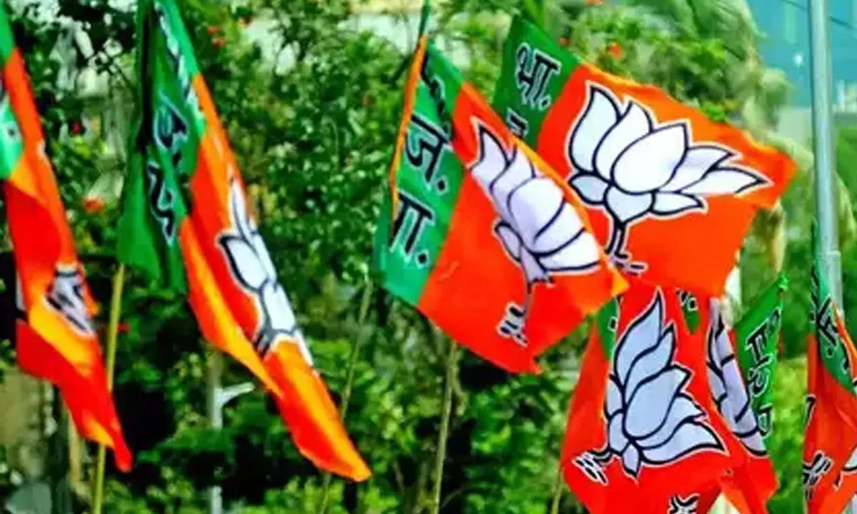 BJP receives donations three times more than all other national parties