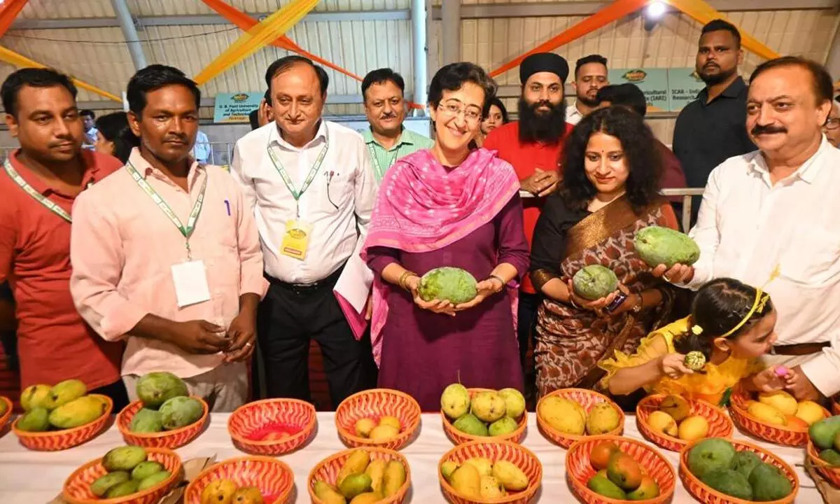 Delhi Government is organizing a 3-day Mango festival at Dilli Haat, Janakpuri