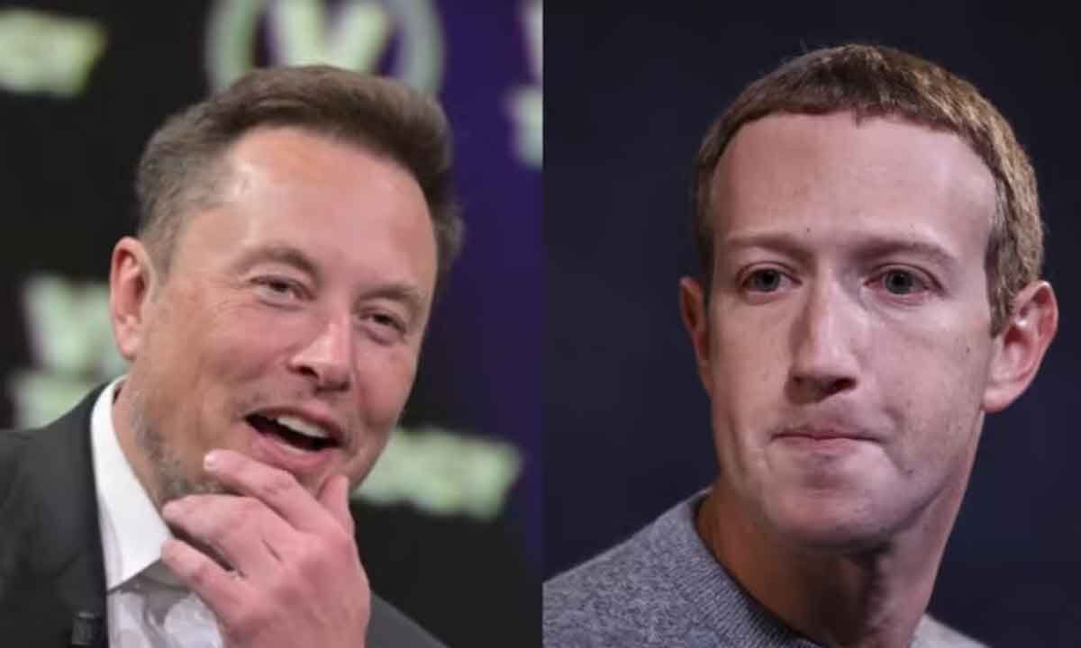 Did Elon Musk call Mark Zuckerberg 'Lizard Boy'? Check