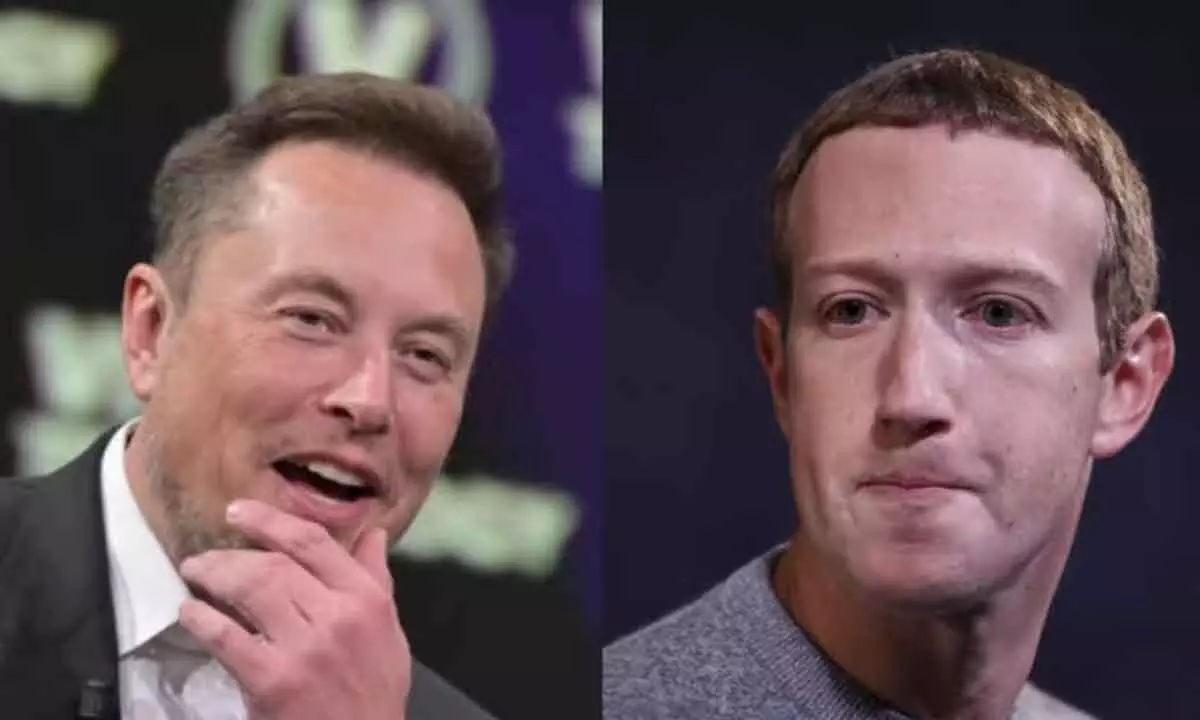 Did Elon Musk call Mark Zuckerberg Lizard Boy? Check
