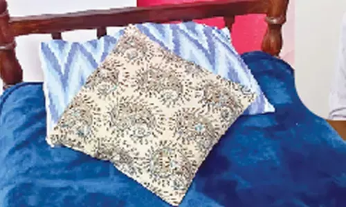 Eco -friendly pillows that correct sleep disorders