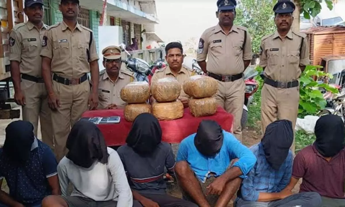 The Special Enforcement Bureau seized dry ganja in Anakapalli district on Sunday.