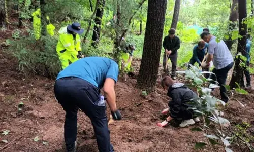 Nearly 1,000 ghost baby cases under probe in S.Korea