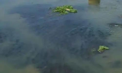 Oxygen level in Coimbatore water bodies rise after sewage treatment, more plants in offing