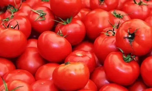 New Delhi: Heavy rains further push up retail tomato prices to Rs 200/kg; other veggies also get costlier