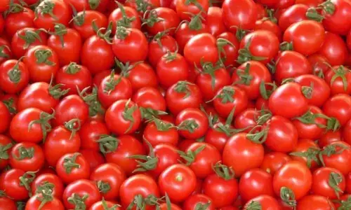 Tomatoes