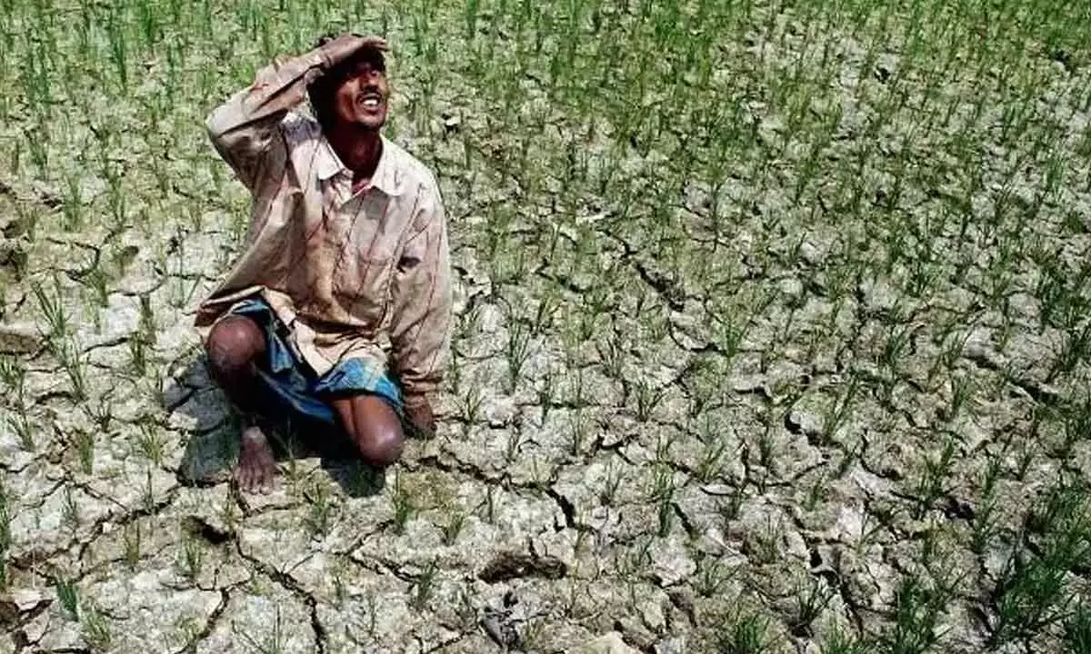 30 per cent deficit rainfall in Telangana