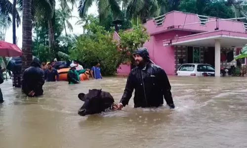 Deficit rains in Udupi? Stumps statistics