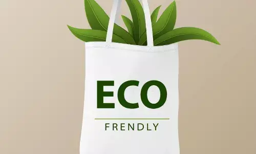 Paper Bag Day 2023: Date, History, Significance and How to Make a Difference!