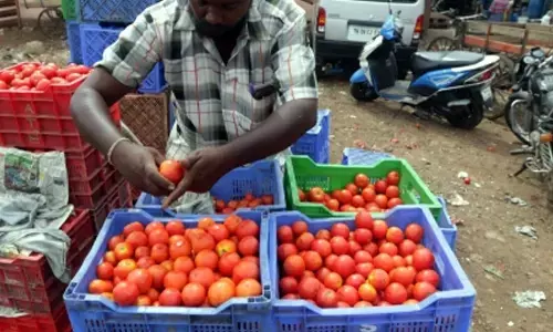 Tamil Nadu Agri Dept plans special drive to boost vegetable production
