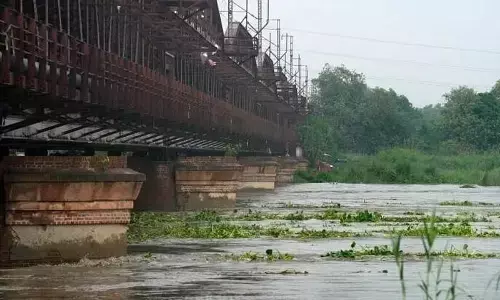 AAP demands public release of water data from Hathinikund