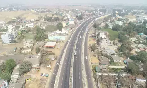 NHAI to plant 50K saplings on Chandikhole-Bhadrak stretch