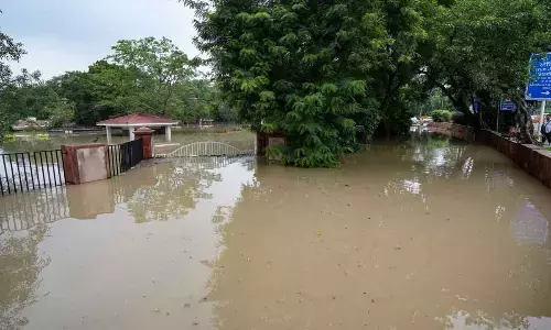 Floodwaters enter Supreme Court, Rajghat
