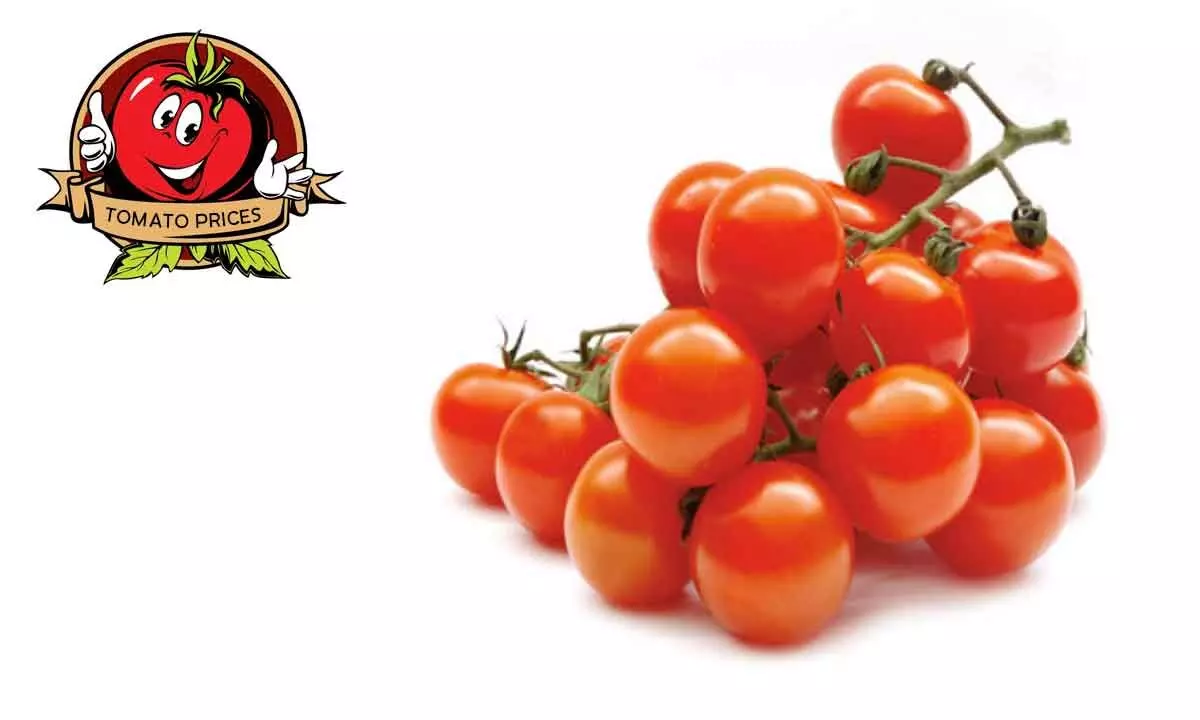 Tomato Price: Indian Government Offers Discounted Tomatoes To Alleviate Soaring Prices