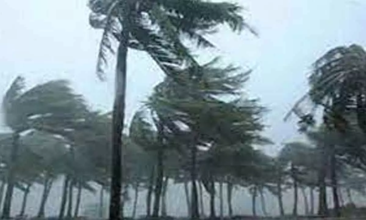 South China on guard as typhoon Talim nears