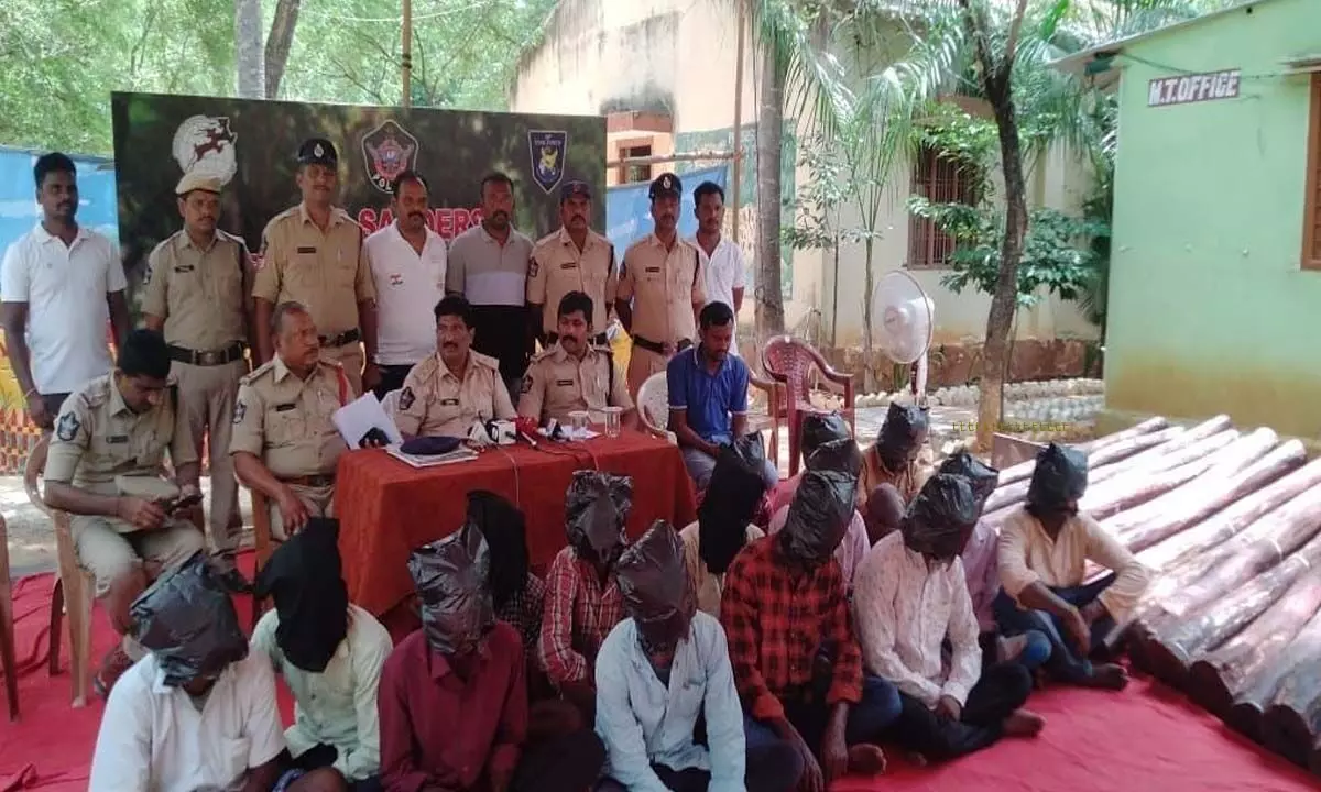 Task Force DSP Muralidhar producing red sanders smugglers before the media in Tirupati on Sunday