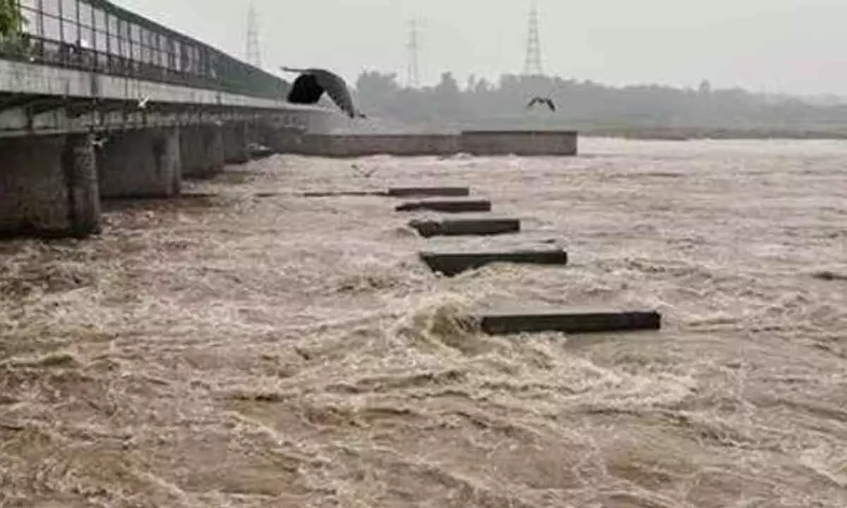 Delhi Rains: Yamuna River Water Level Decreases In Delhi, But Flooding Crisis Continues