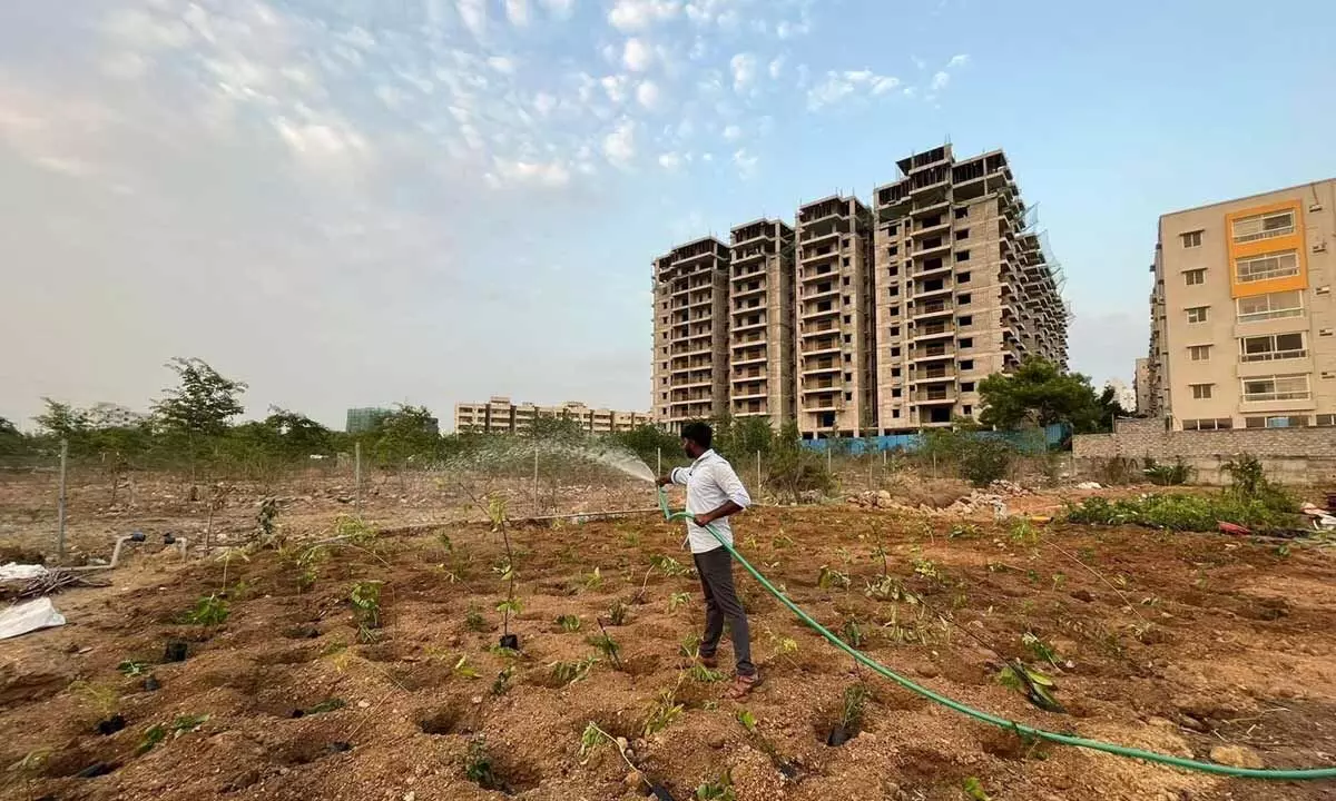 NGO creates urban forests to ramp up green cover in Hyderabad